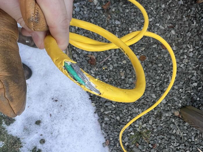 Damaged yellow extension cord held by gloved hand, illustrating Christmas accidents.