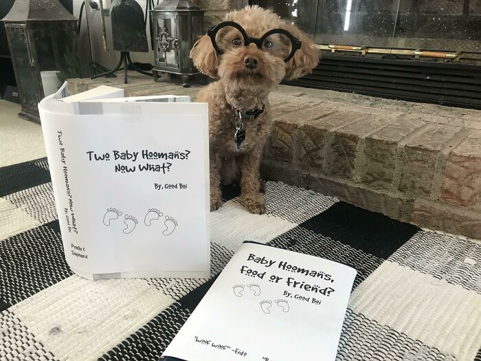 A cute dog wearing glasses next to books humorously titled about pregnancy.