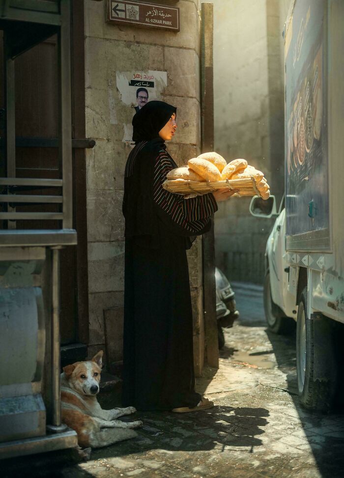 Person holding bread in a sunlit alley with a dog nearby, capturing a moment of creative street photography.