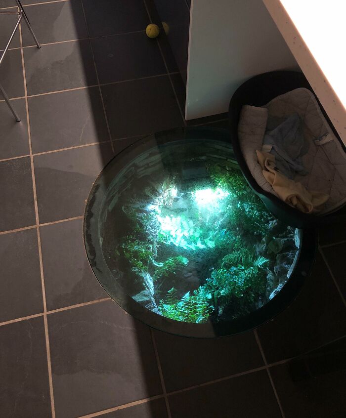 Glass floor in a tiled room reveals an illuminated underwater scene with greenery, creating a fascinating visual effect.