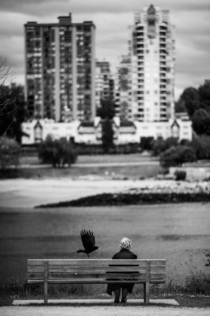 A person sitting on a bench with a crow flying by in an urban setting, exemplifying creative street photography.