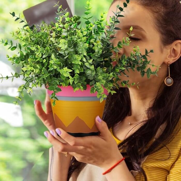 Person holding a colorful potted plant, a thoughtful gift idea for teachers.