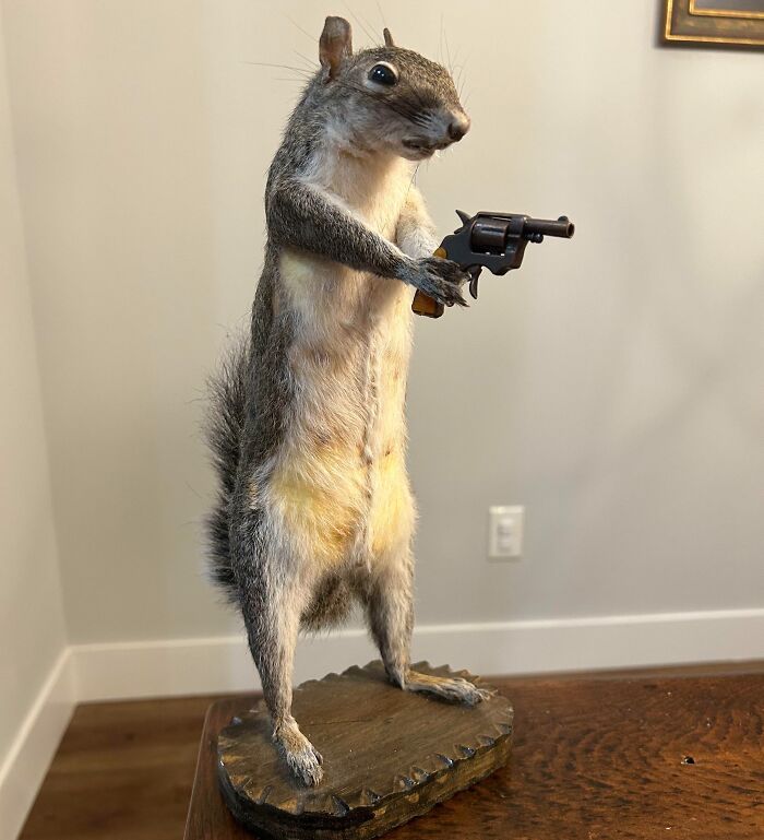 Stuffed squirrel holding a toy gun, an example of disappointing presents.