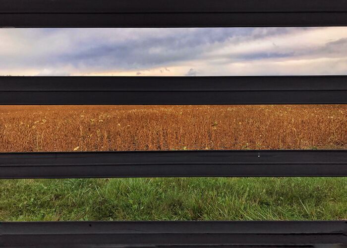 Perfect fit: Landscape perfectly aligned between black bars under a cloudy sky.