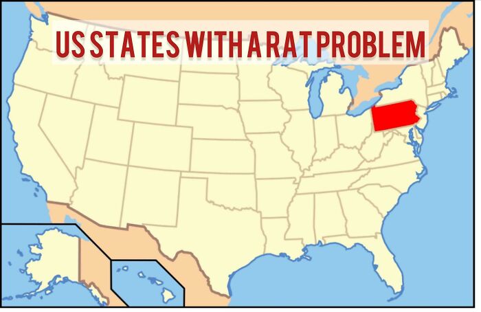 Map highlighting US states with a rat problem, focusing on visual data from unique charts and guides.