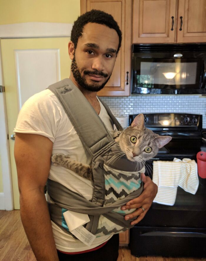Man holds a cat in a baby carrier, creating a funny pregnancy situation in the kitchen.