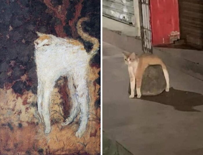 Two humorous blessed images of cats: one in abstract art and another sitting oddly on a rock.