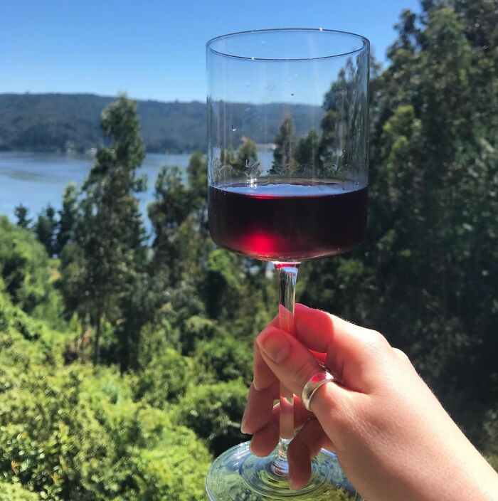 Hand holding a glass of red wine outdoors with trees and a lake in the background, perfect Christmas gifts for moms.