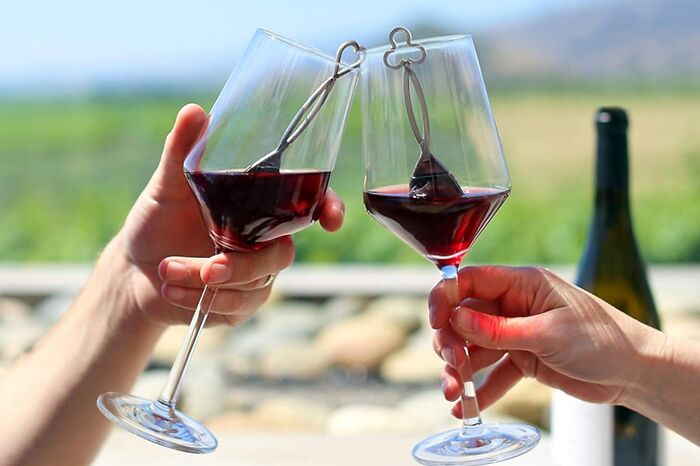 Two wine glasses clinking outdoors, perfect gifts for your mom.