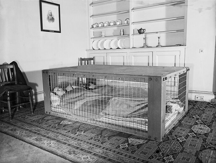 Child in a cage-like bed under a wooden dining table in a vintage room, highlighting strange inventions.