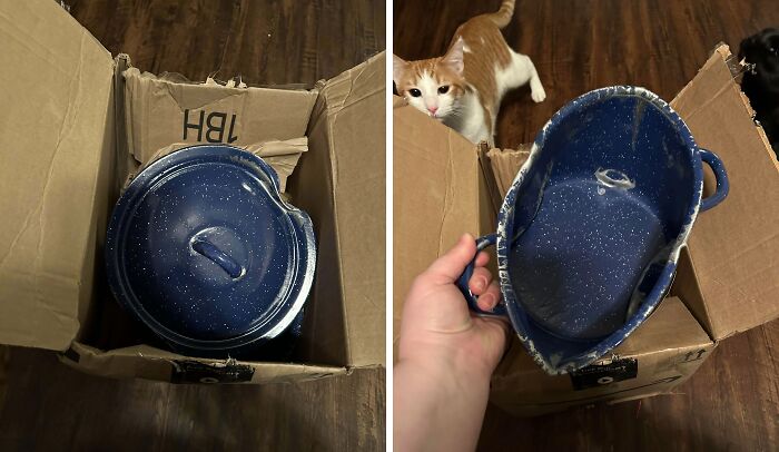 Broken blue enamel pot in a box, a disappointing gift with a curious cat nearby.