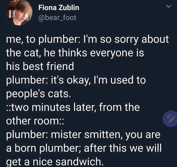 A funny tweet about a cat befriending a plumber, bringing wholesome humor to brighten your day.