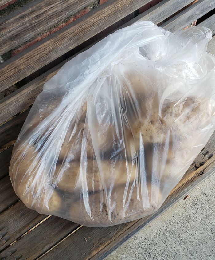 Bag of potatoes on a wooden bench, illustrating disappointing presents.