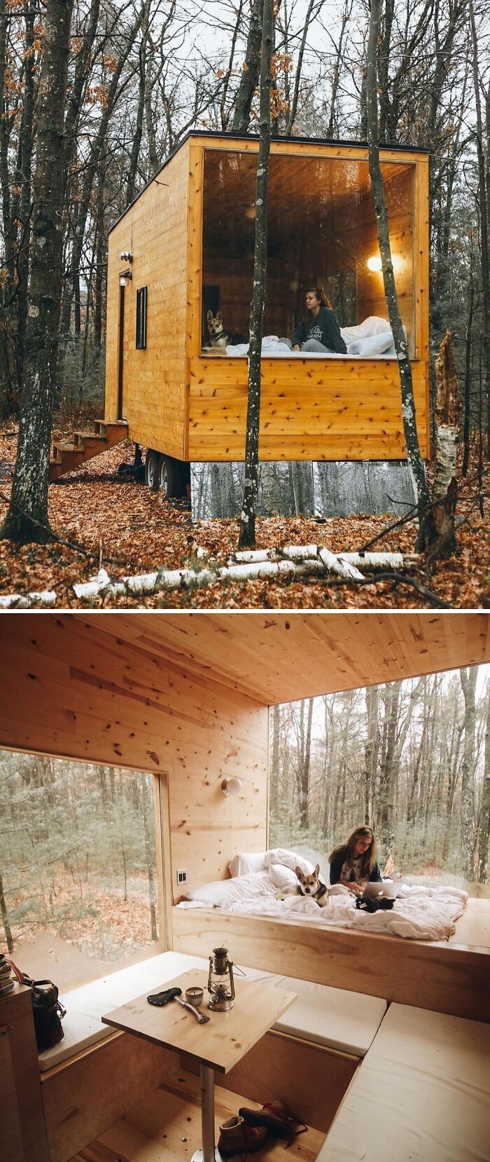 Cozy tiny home with large window, woman and dog on bed, surrounded by woods.