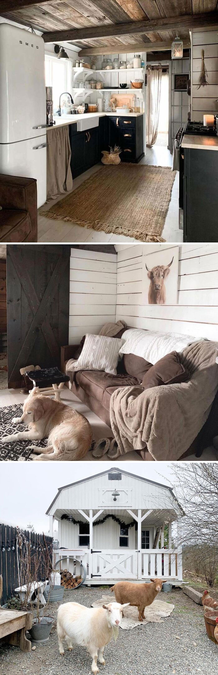 Cozy tiny homes: rustic kitchen, snug living room with dog, goats outside a quaint white house.