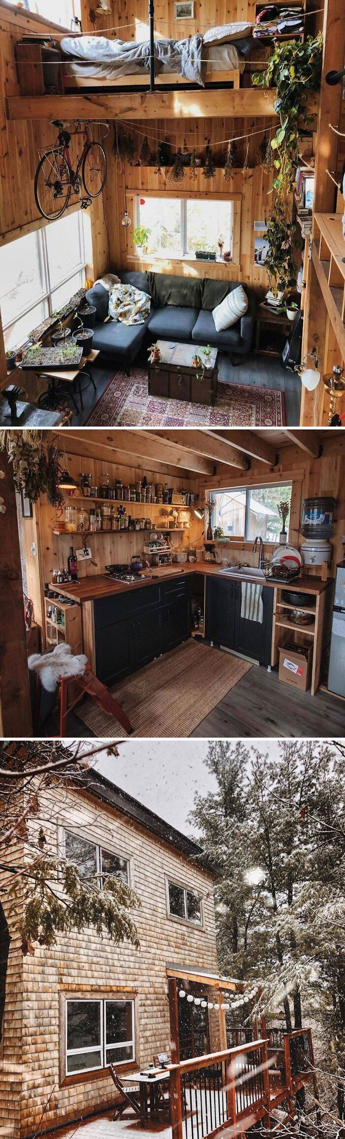 Cozy tiny home interior with loft bed, plants, kitchen, and snowy exterior view.