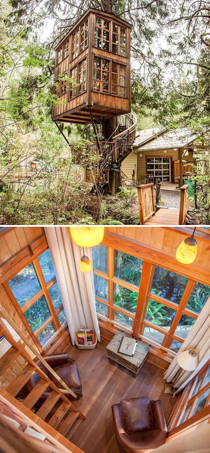 Treehouse tiny home with cozy interior, large windows, and spiral staircase nestled among lush greenery.