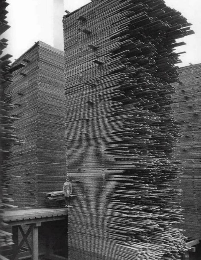 Man standing beside towering stacks of wooden planks illustrating scarily big size for megalophobia fear group.