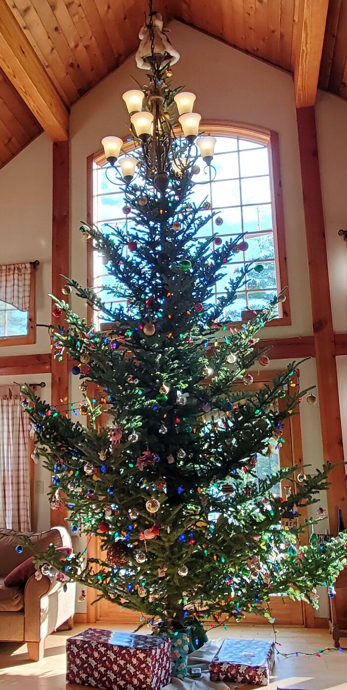 Tall Christmas tree in a sunlit room, decorated with colorful lights and ornaments, presents underneath.