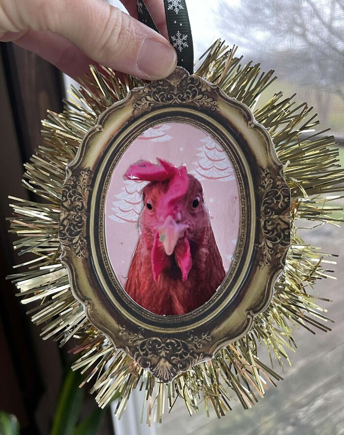 DIY Christmas decoration featuring a chicken portrait in a gold-fringed oval frame, held by a hand.