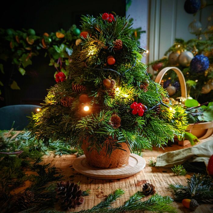 Miniature Christmas tree with lights and pinecones, showcasing a creative DIY decoration idea on a rustic wooden table.