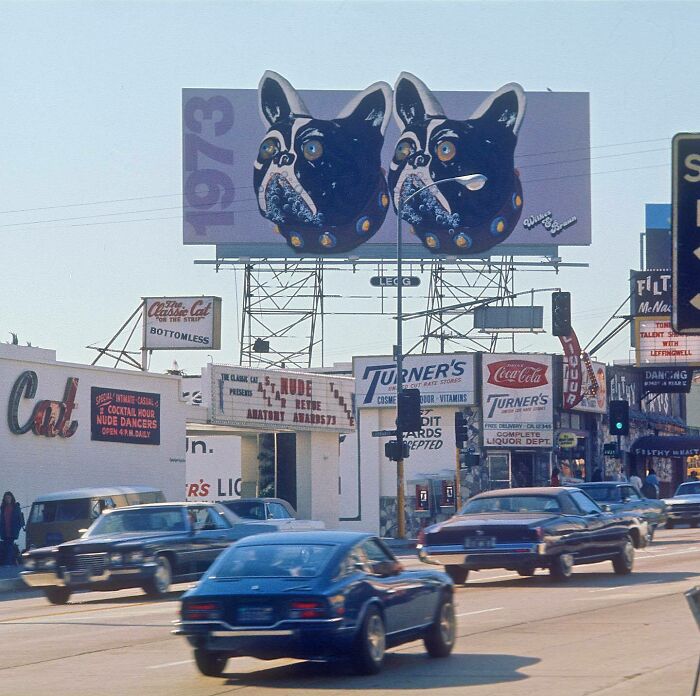 1970s West Coast street scene with vintage cars and a large billboard featuring Boston Terrier illustrations.