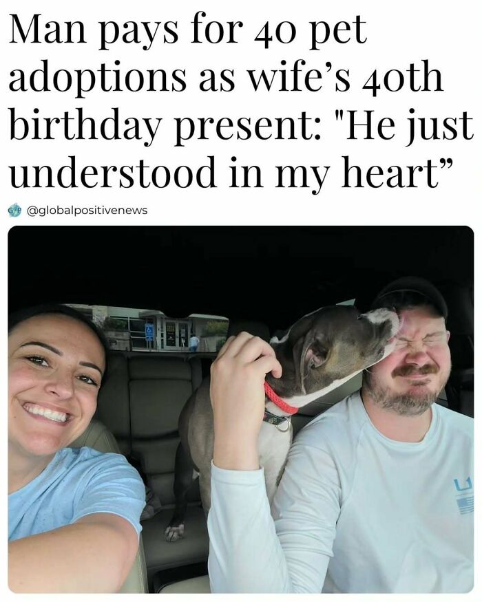 Happy couple with a dog in a car, highlighting a gesture that restores faith in humanity through positive actions.