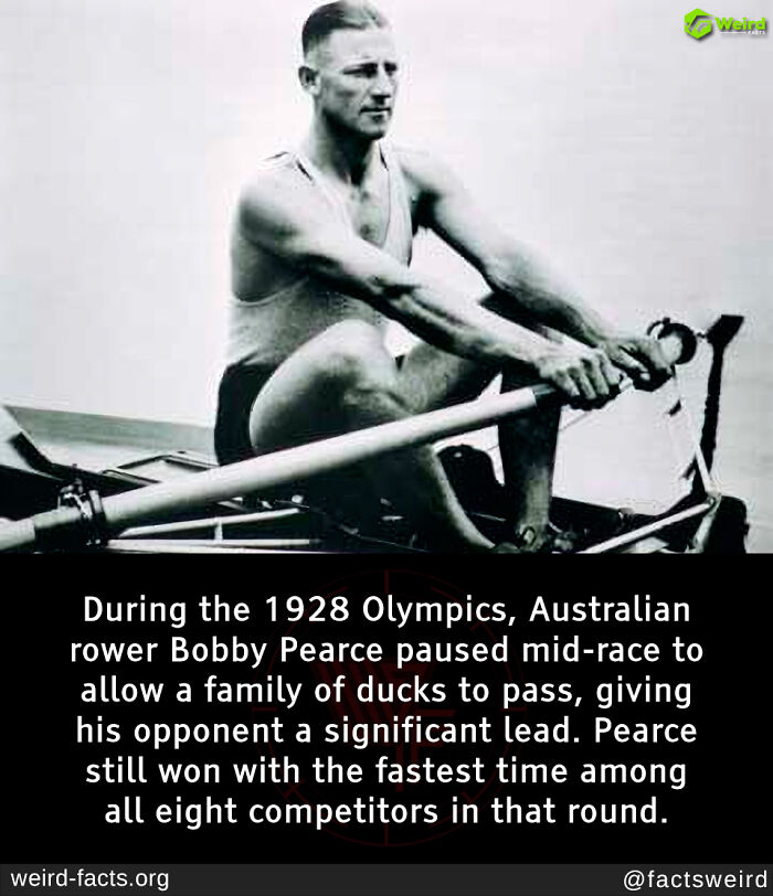 Rower at 1928 Olympics pauses mid-race for ducks, a weird fact illustrating sportsmanship.
