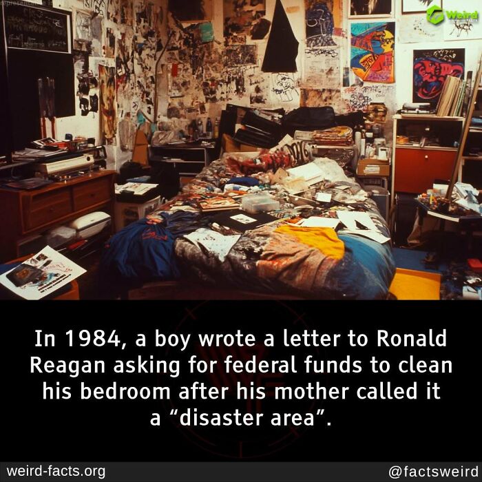 Messy teenage bedroom with scattered clothes and posters, illustrating a weird and random fact about a boy writing to Reagan.