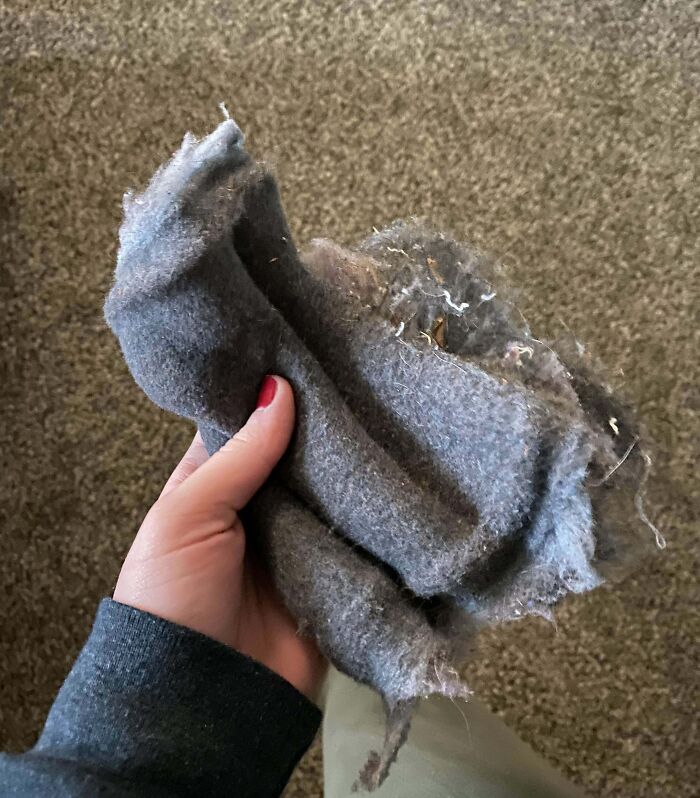 Hand holding a tattered gray cloth, illustrating frustration with family members.