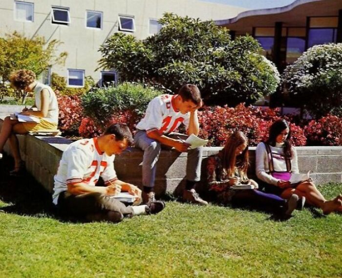 Students studying outside a '70s high school, with some wearing jerseys, seated on grass and a low wall in a sunny courtyard.