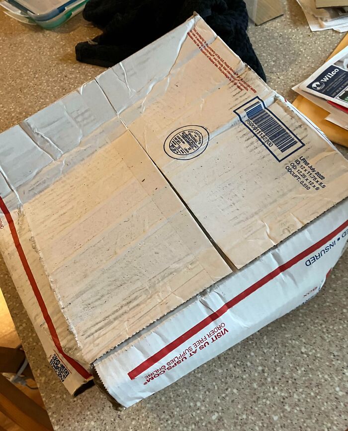 Damaged cardboard box on a kitchen counter, possibly causing frustration with family members.