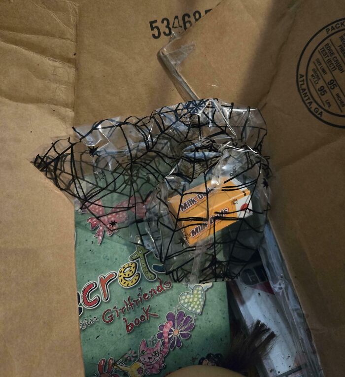 Messy box containing a tangled wire mesh, candy boxes, and a colorful book cover, symbolizing infuriating family members.