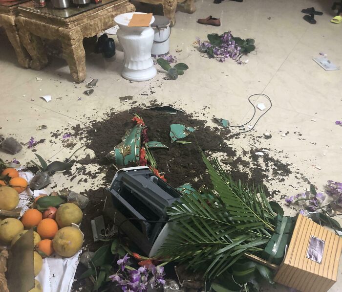 Messy scene with spilled soil and broken plant pot on the floor, suggesting chaos from infuriating family members.