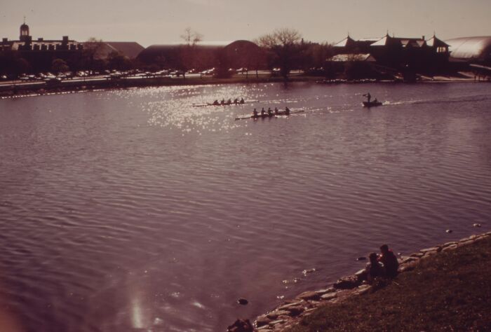 Rowers on a sunlit river in 1973, with a scenic backdrop of trees and buildings.