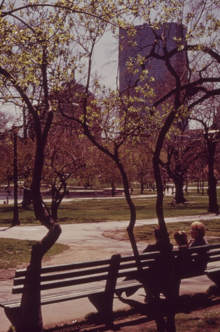 Park scene in 1973 with people on a bench, trees budding, and city buildings in the background, capturing a moment in history.