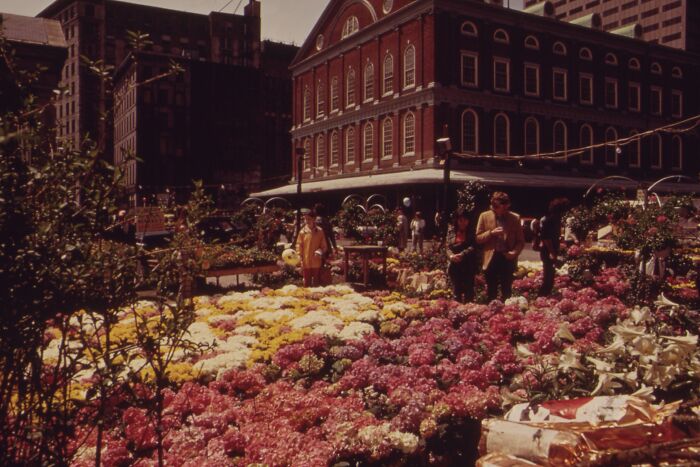 1973 World in Pictures: vibrant flower market scene in front of a historic brick building.