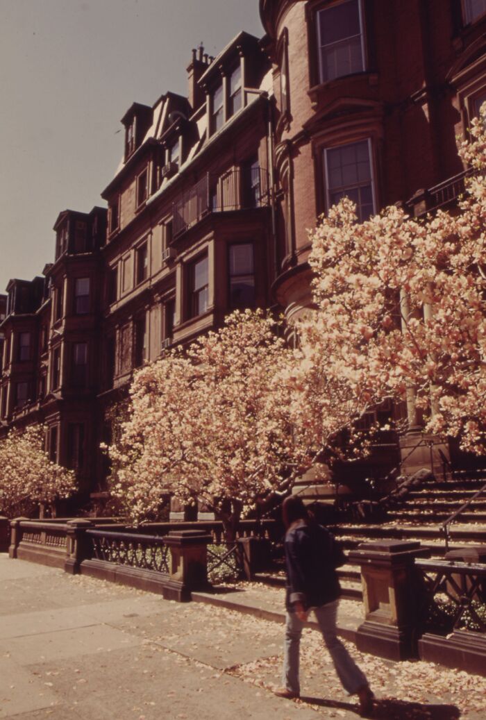 1973 street scene with blooming trees and historic brick buildings.