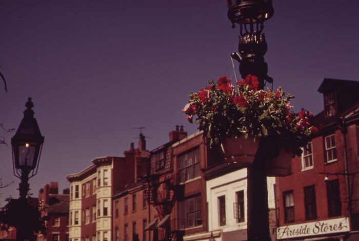 Historic street scene from 1973, featuring brick buildings and a vintage lamp post with vibrant flowers.