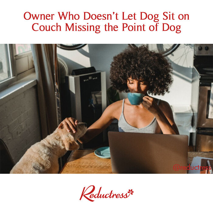 Woman with curly hair drinking coffee while petting dog near laptop, representing funny fake article headlines from Reductress.