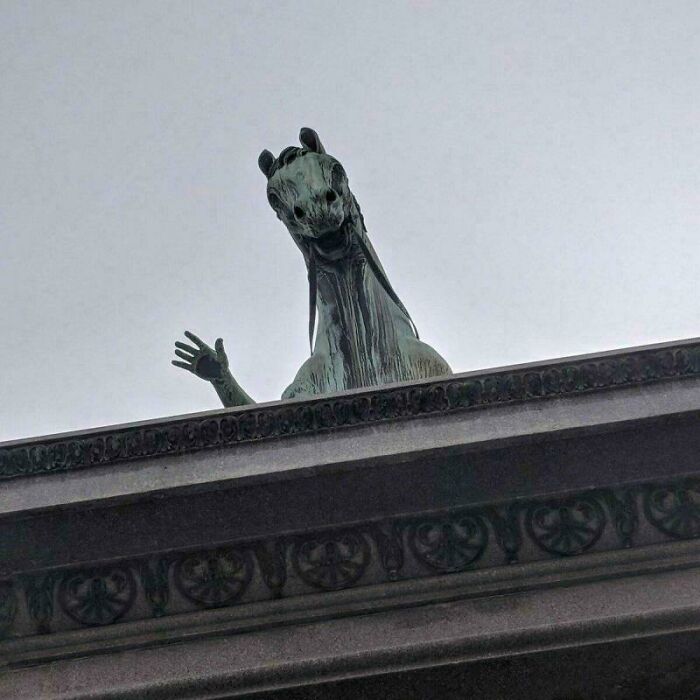 Looks Like A Friendly Horse