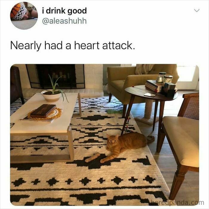 Orange cat blends into geometric rug in a funny, spot-on living room scene.