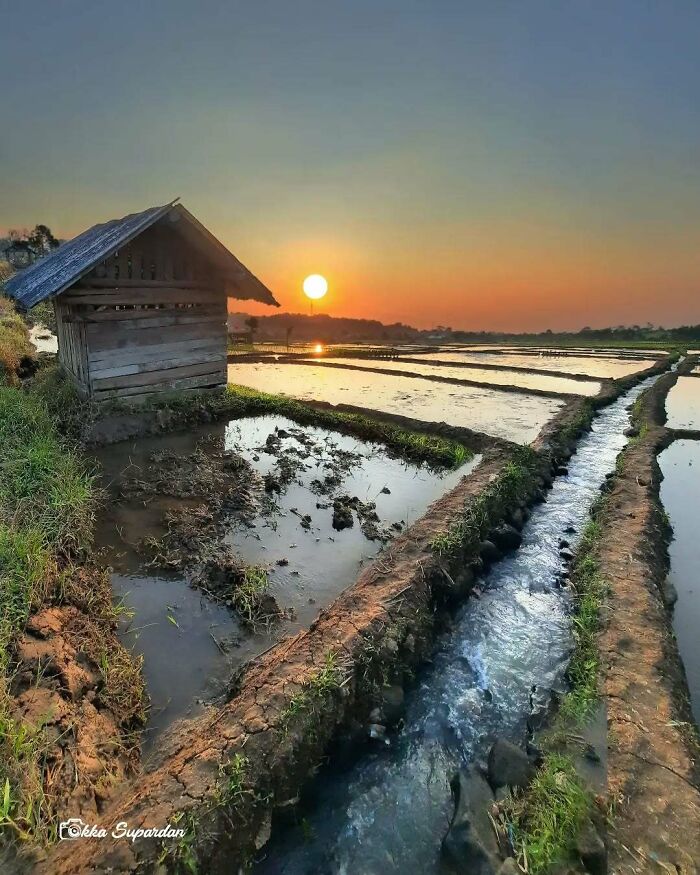 Indonesian photographer captures a serene sunset over rice paddies and a wooden hut.