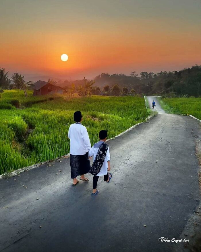 Indonesian simple life: two people walking on a path through rice fields at sunset, capturing serene moments.