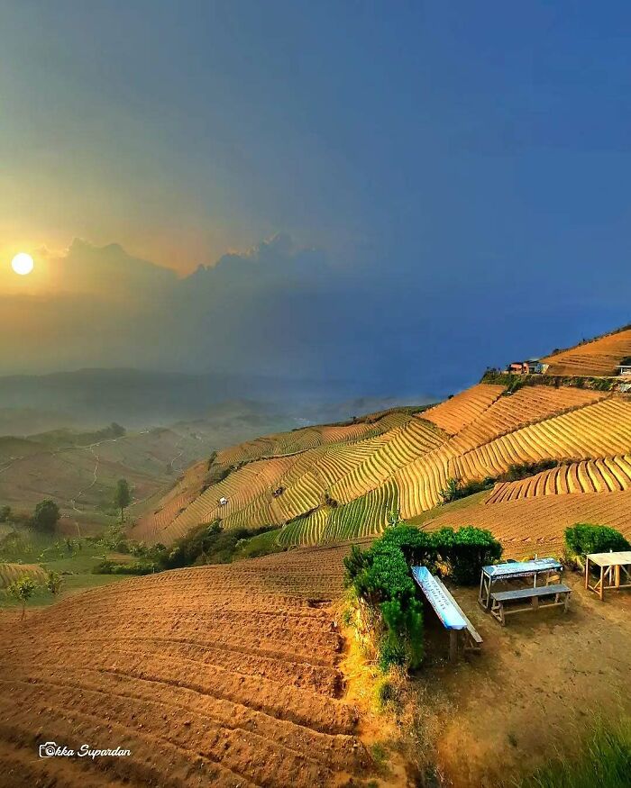 Sunset over Indonesian terraced fields, capturing simple life moments with a scenic view.
