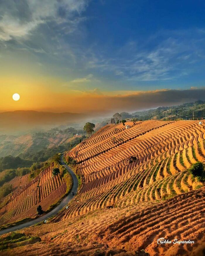 Sunrise over terraced fields in Indonesia, capturing simple life moments with stunning landscapes.