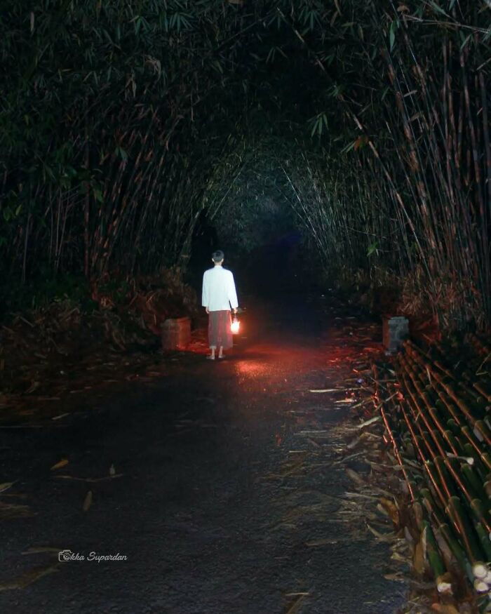 Indonesian photographer captures simple life moment: person walking with a lantern through a bamboo tunnel at night.