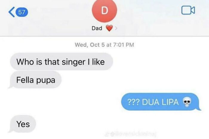 Text exchange between a dad and child about a favorite singer, humorous misunderstanding featured in Best Texts of 2024.