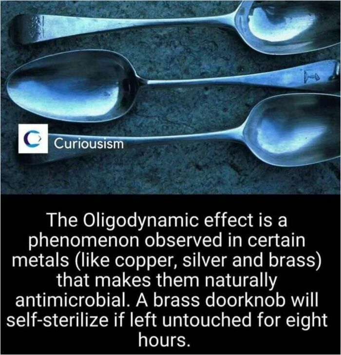 Spoons illustrating the oligodynamic effect in metals, showing natural antimicrobial properties of silver and copper.