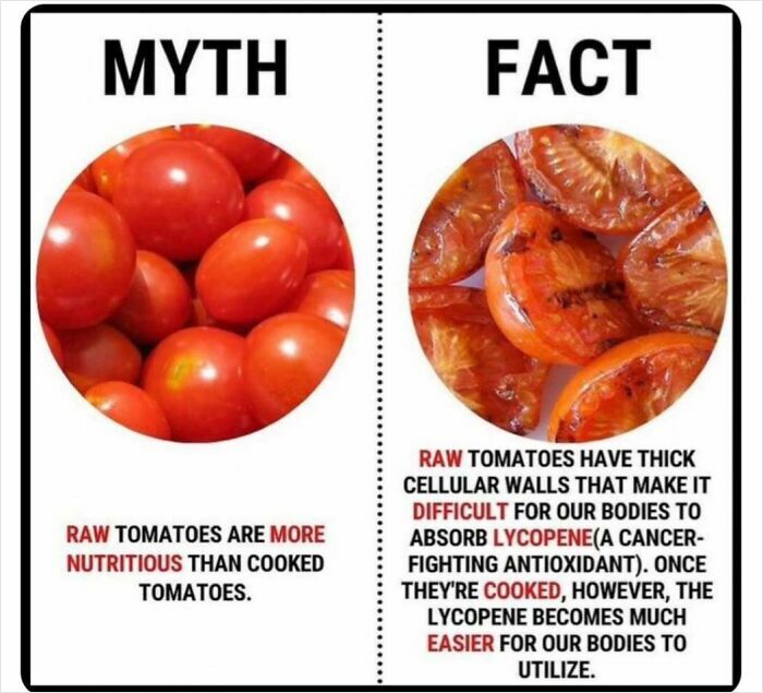 Myth vs. fact: raw vs. cooked tomatoes, highlighting nutrition absorption differences and lycopene benefits.